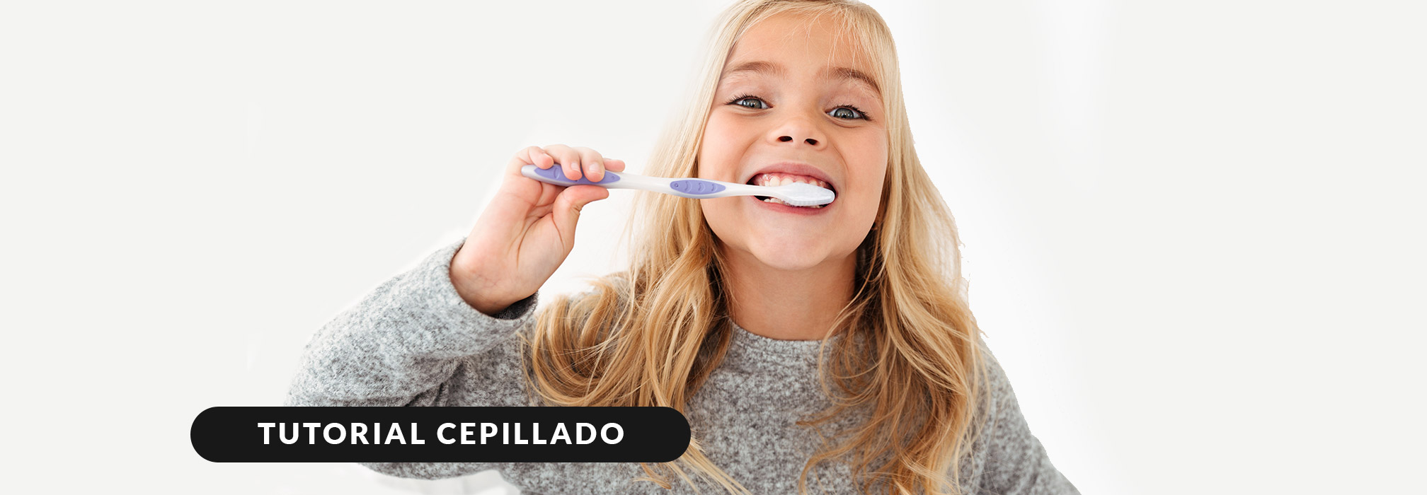 nuez querido suelo Paso a paso: Técnica de cepillado dental | Clínica dental Susana Palma